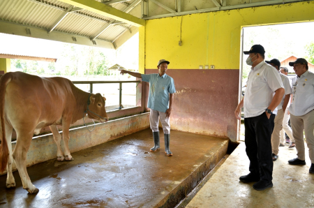 PROGRAM INSEMINASI BUATAN