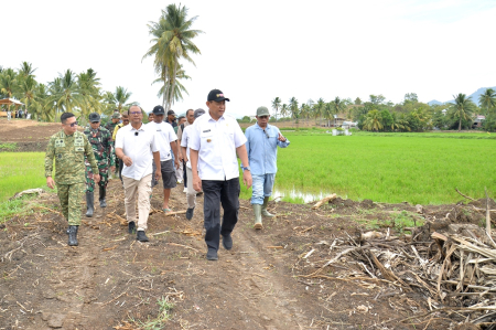 PROGRAM PENCETAKAN SAWAH BARU