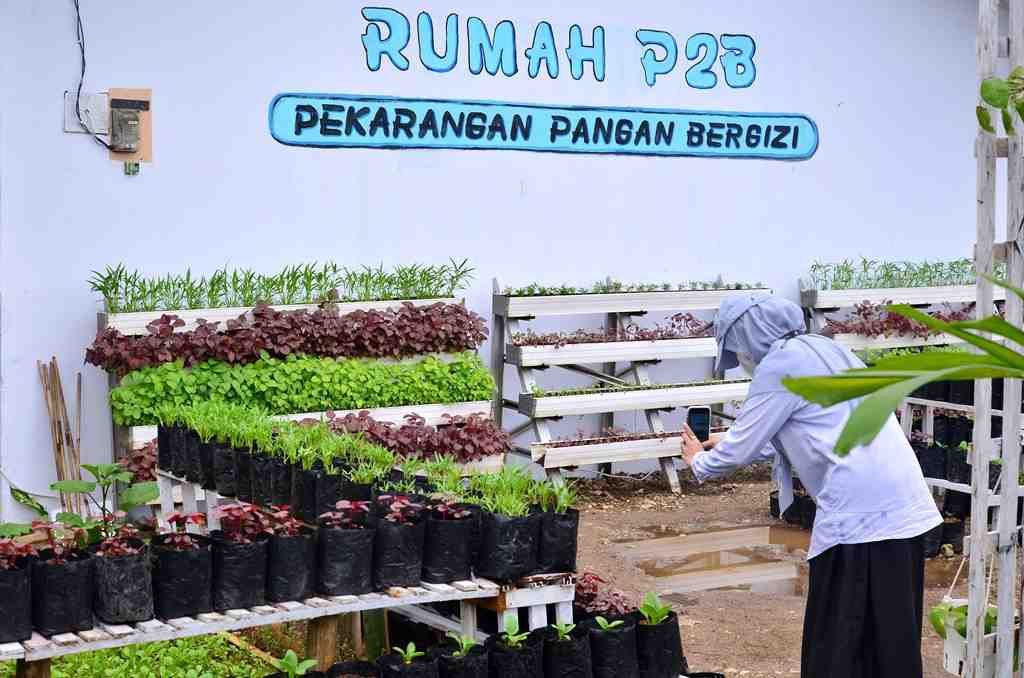 RUMAH PEKARANGAN PANGAN BERGIZI