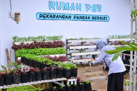 RUMAH PEKARANGAN PANGAN BERGIZI