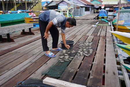 JEMUR IKAN ASIN KAPAR