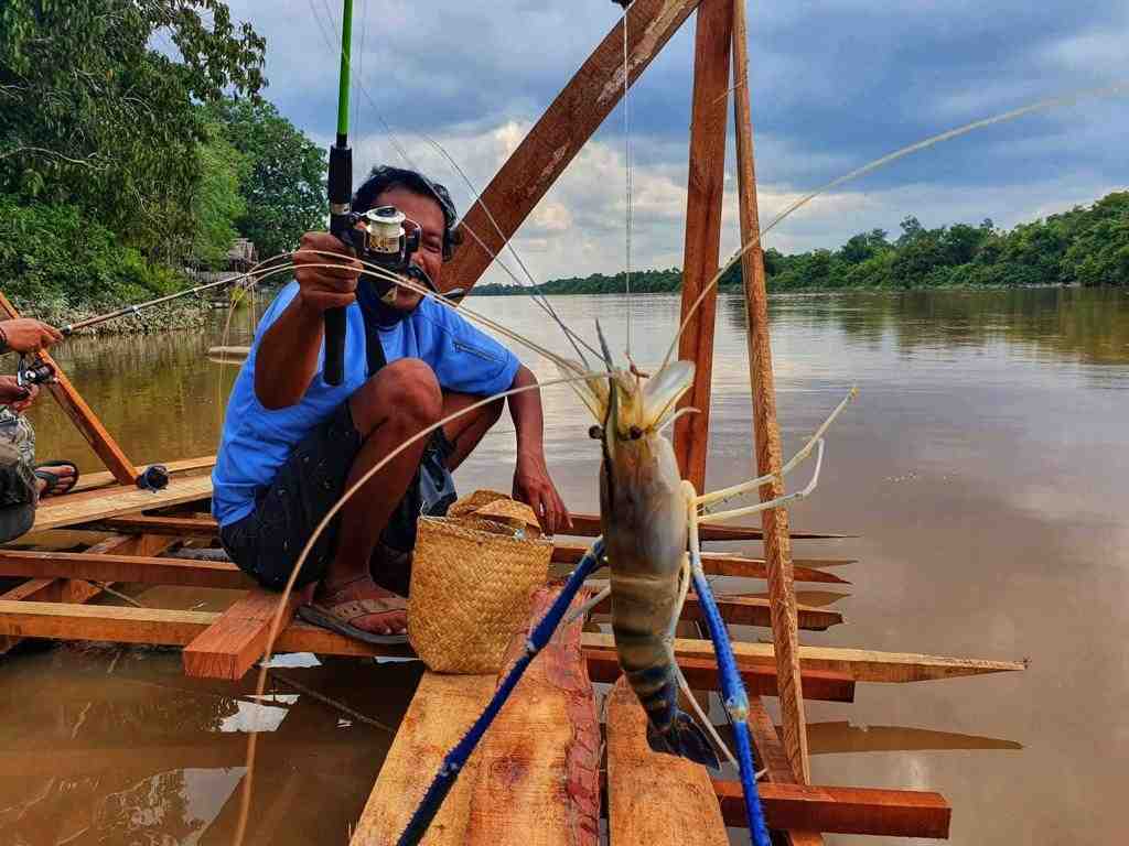 MEMANCING UDANG GALAH