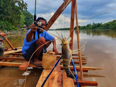 MEMANCING UDANG GALAH