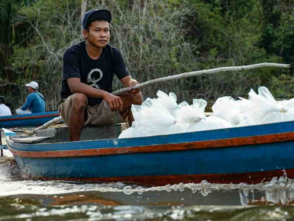 ANGKUT BIBIT IKAN
