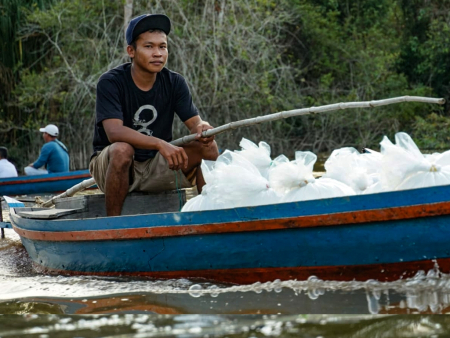 ANGKUT BIBIT IKAN