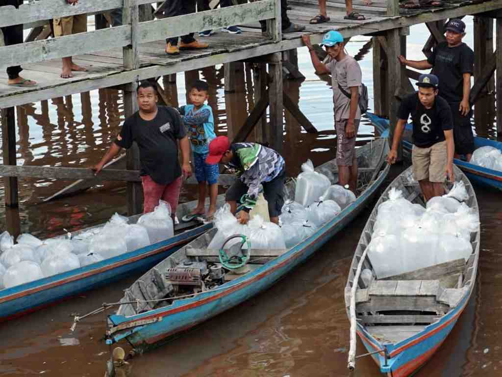 ANGKUT BIBIT IKAN