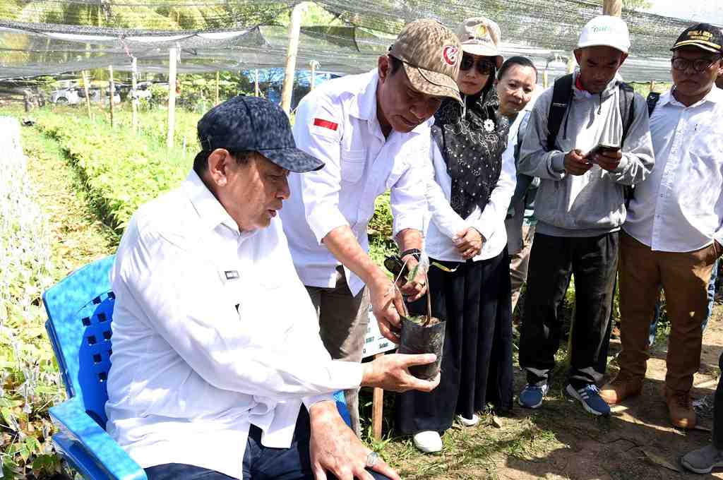 SATU JUTA BIBIT KAKAO