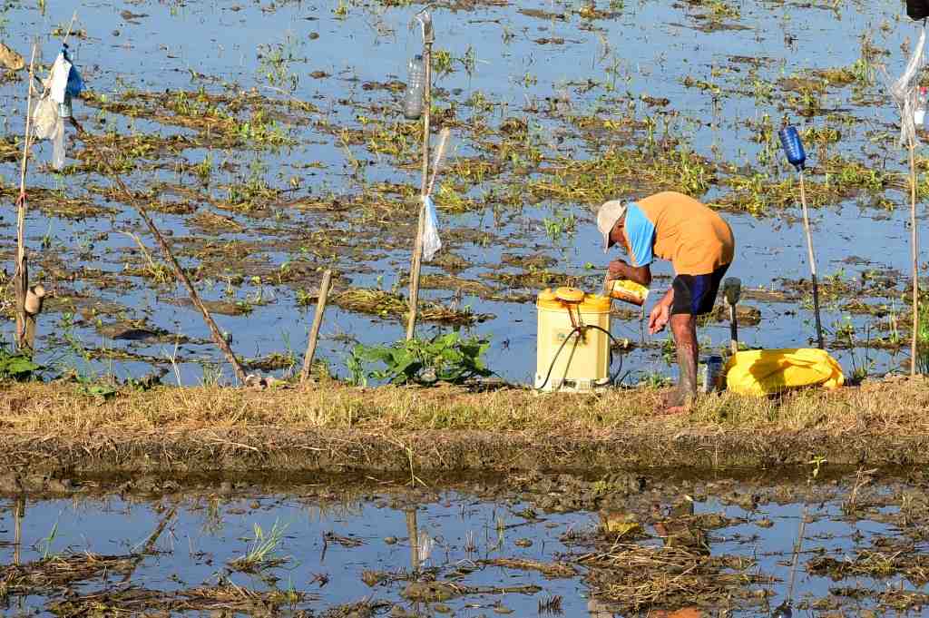SEMPROTAN SAWAH OTOMATIS