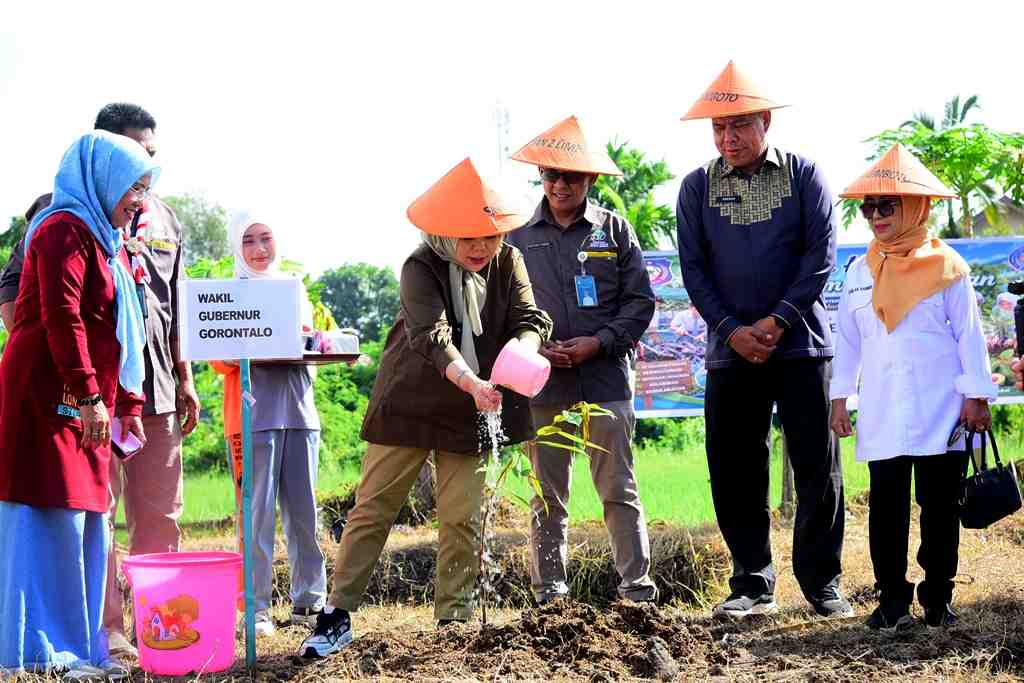 SIRAM POHON DURIAN