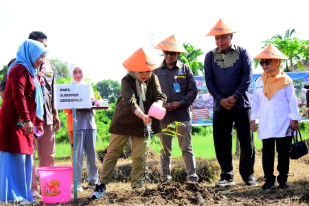 SIRAM POHON DURIAN