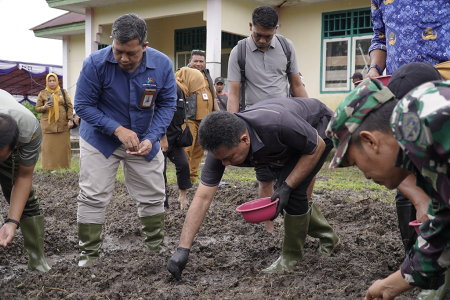 TANAM PADI LADANG