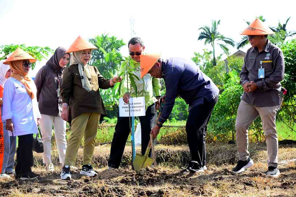 TANAM POHON MANGGA