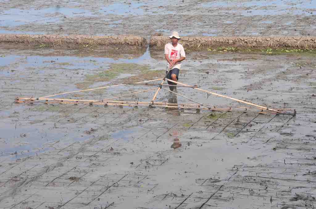 TARIK PENGGARIS SAWAH