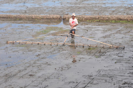 TARIK PENGGARIS SAWAH
