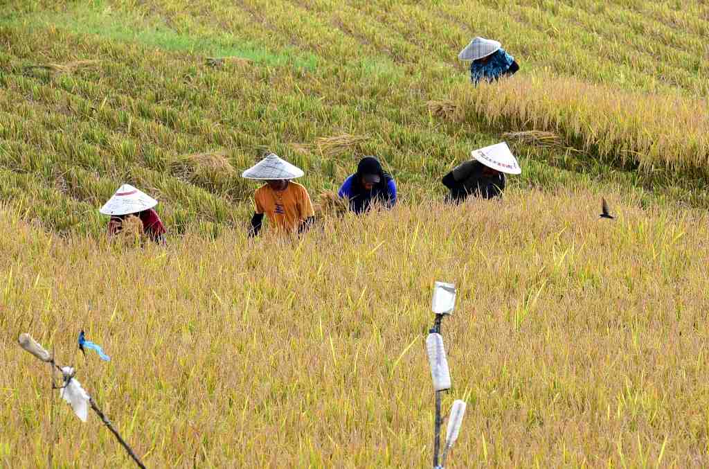 UPAH BURUH TANI