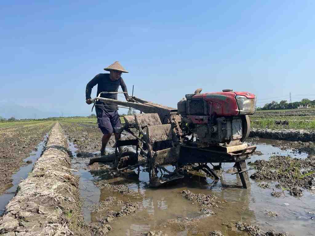 BAJAK SAWAH GUNAKAN TRAKTOR