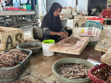 MENGUPAS UDANG