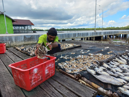 PENJEMURAN IKAN