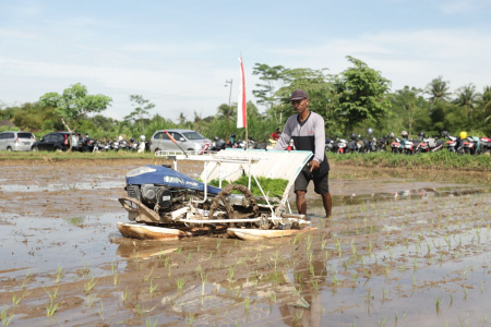 RICE TRANSPLANTER