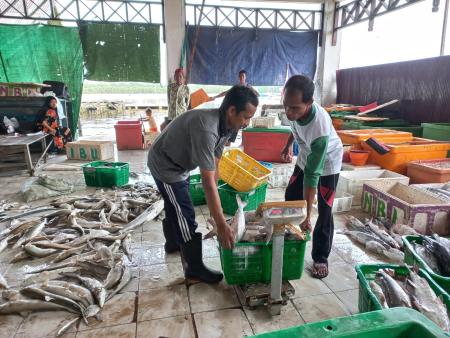 TIMBANG HASIL TANGKAPAN