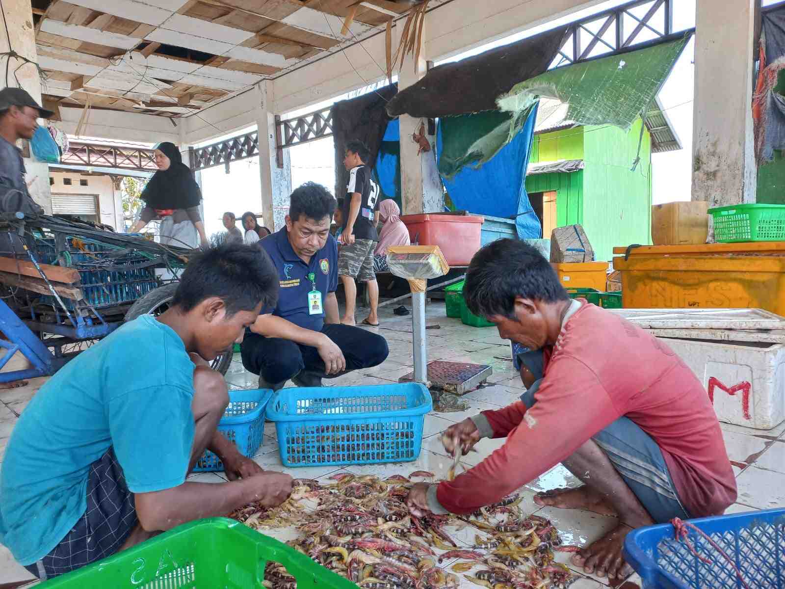 KUMPULKAN  TANGKAPAN UDANG