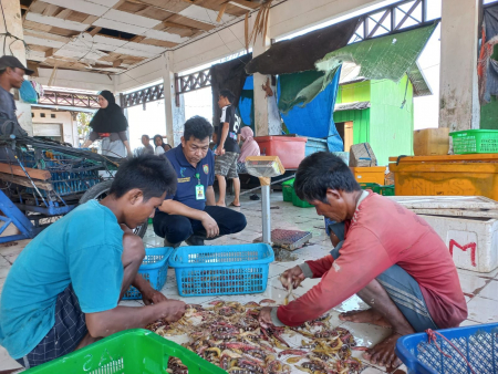 KUMPULKAN  TANGKAPAN UDANG