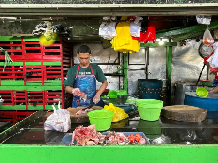 PENJUAL BEBEK