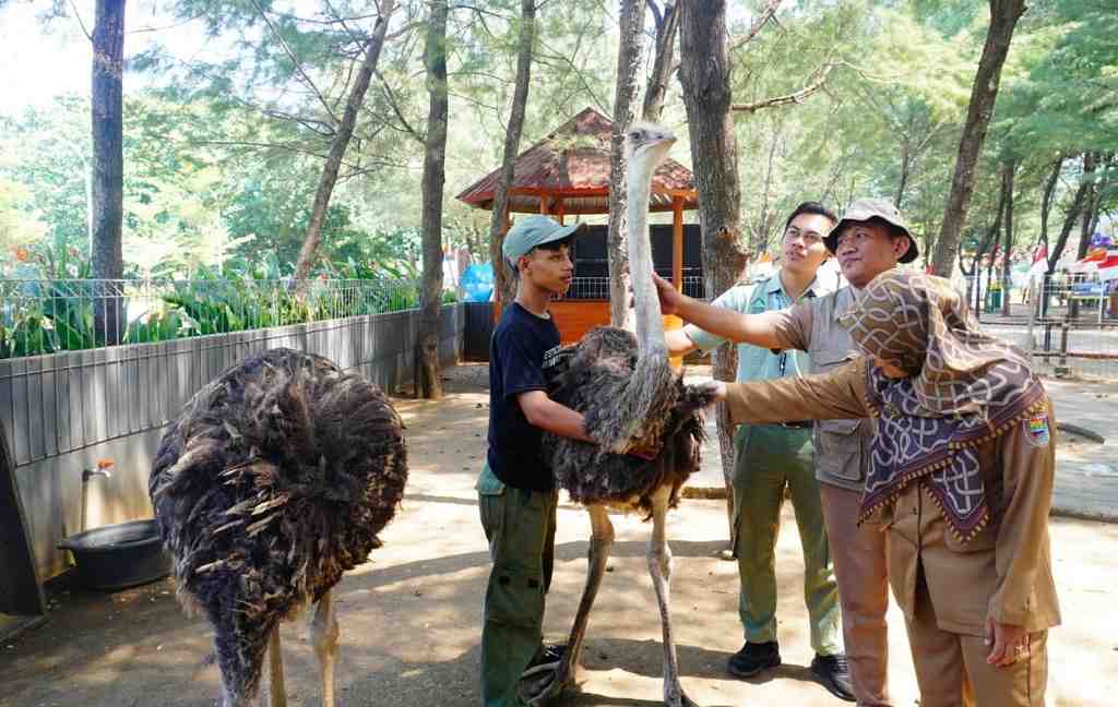 PERIKSA KESEHATAN SATWA