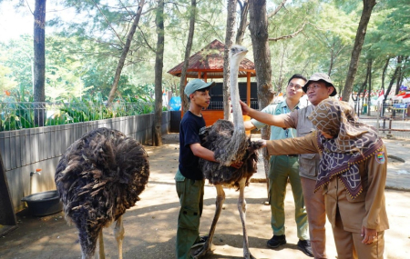 PERIKSA KESEHATAN SATWA
