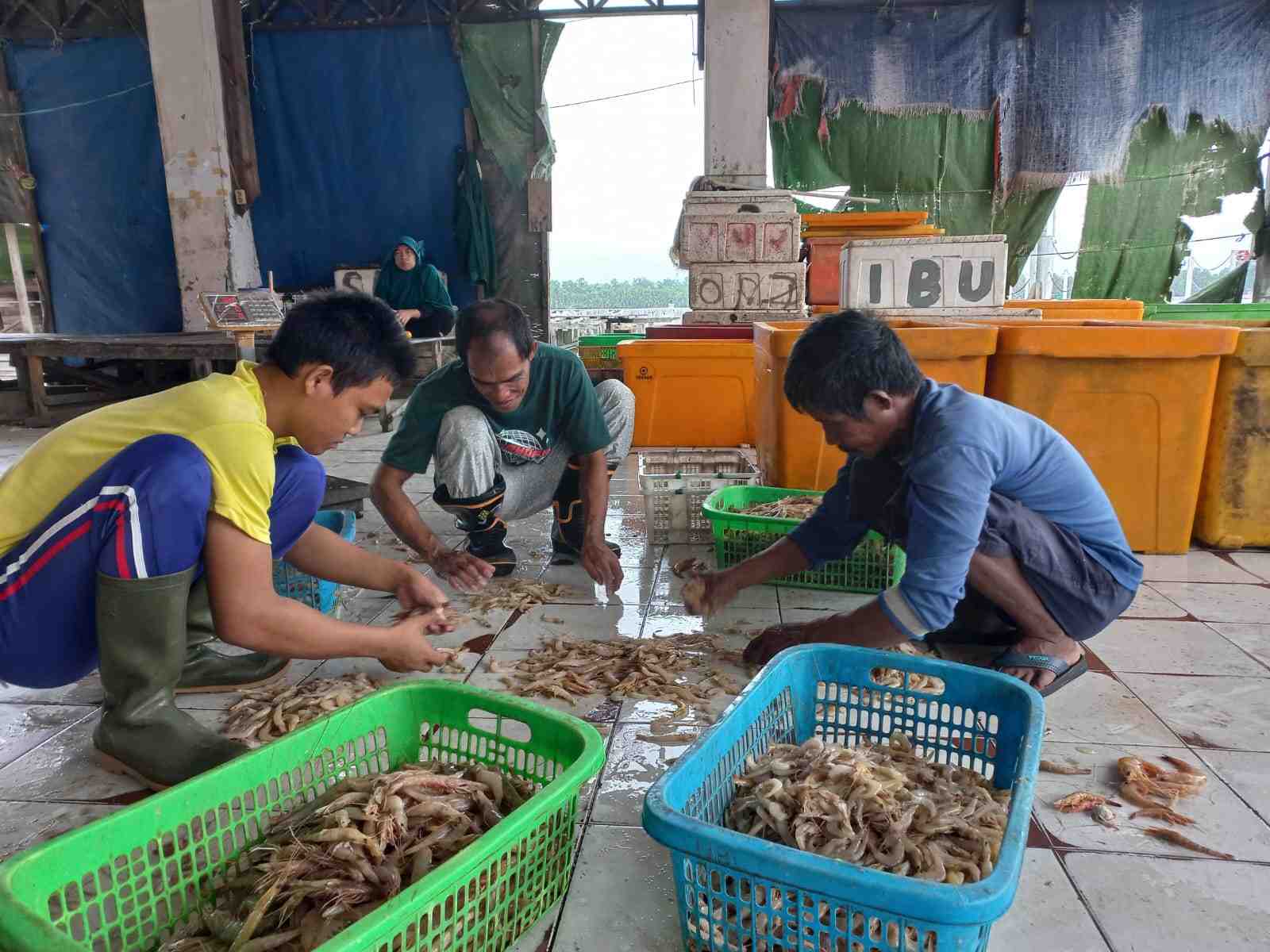 HASIL TANGKAPAN NELAYAN