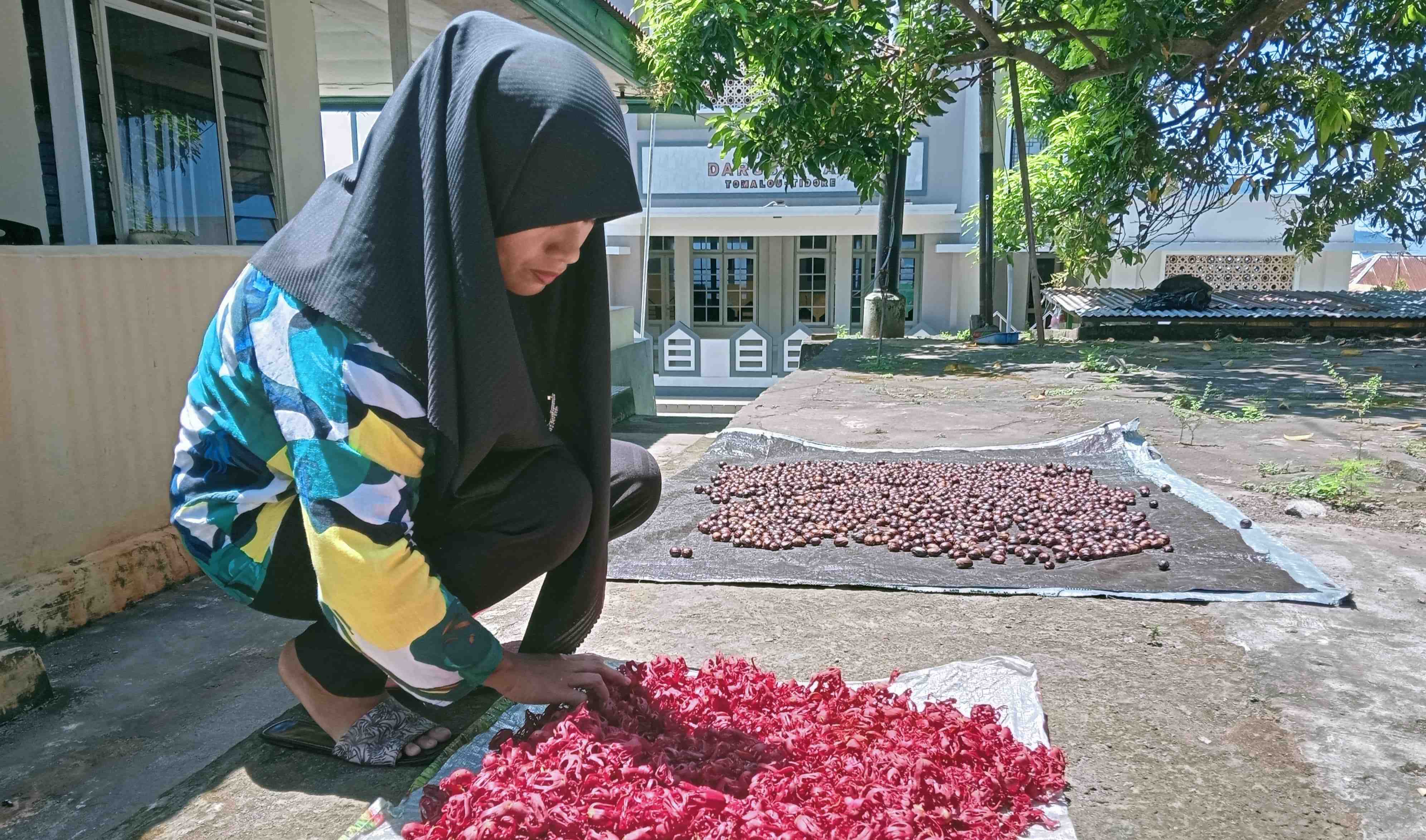 JEMUR BUNGA PALA