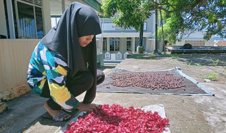 JEMUR BUNGA PALA