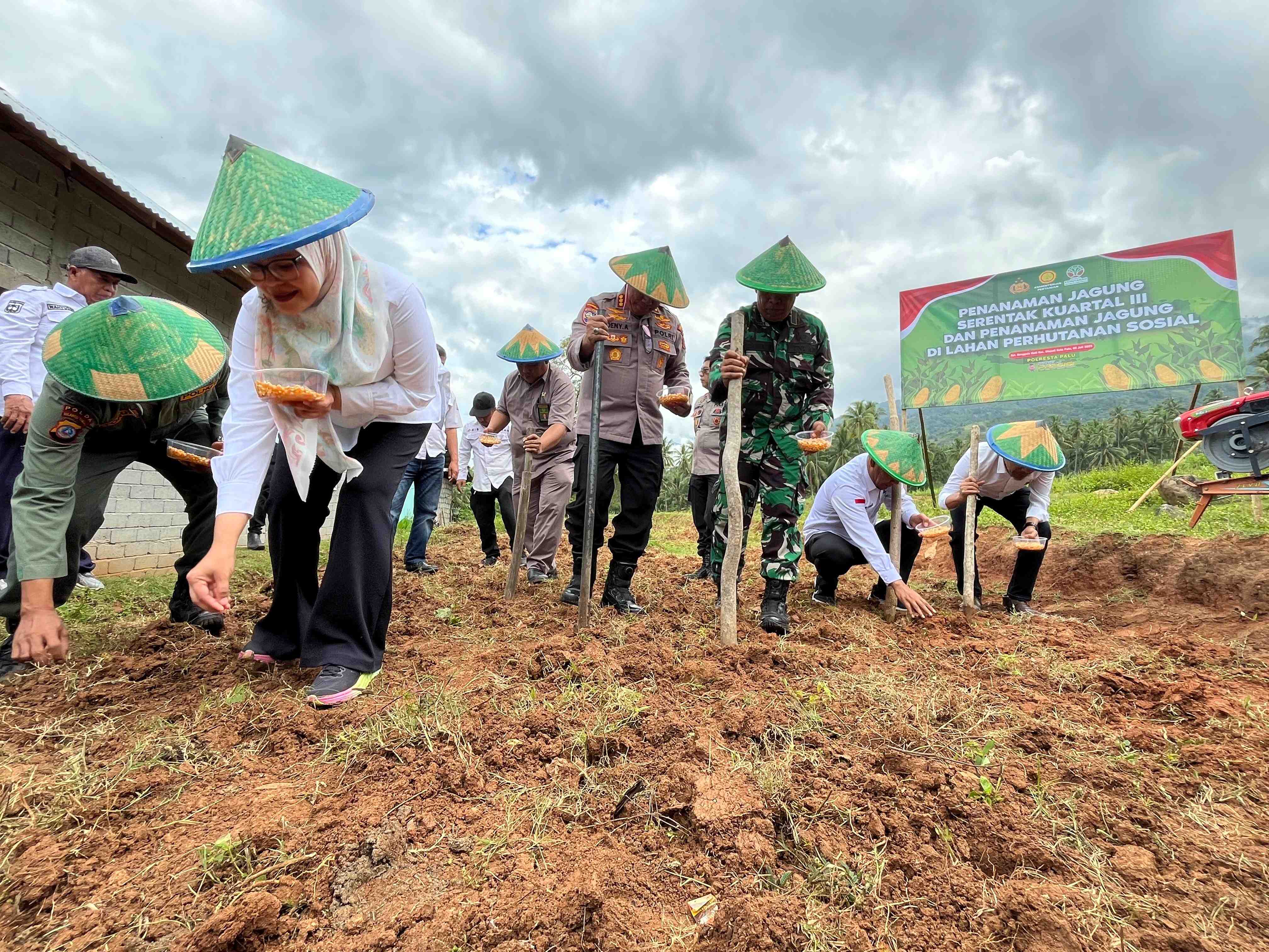 PENANAMAN JAGUNG SERENTAK KUARTAL III DI PALU