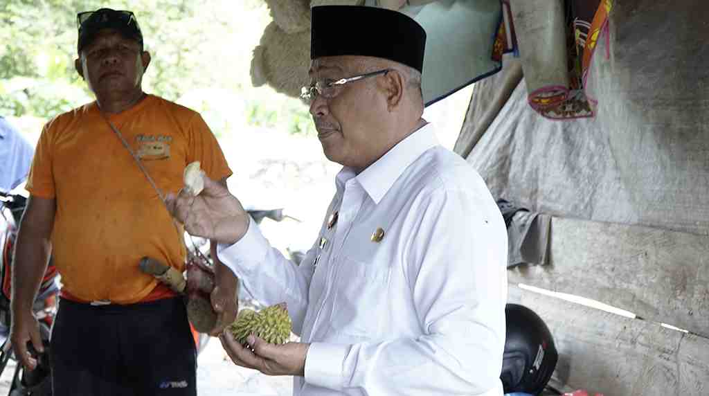 MENCICIPI DURIAN KALAODI