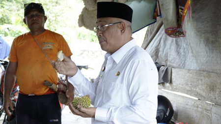 MENCICIPI DURIAN KALAODI