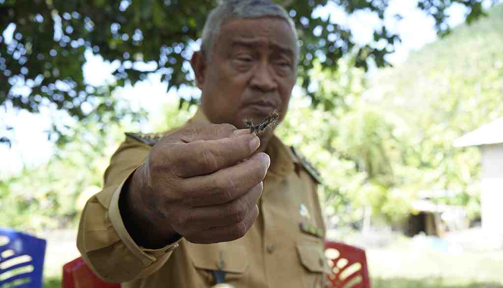 PERLIHATKAN HAMA BAKAU