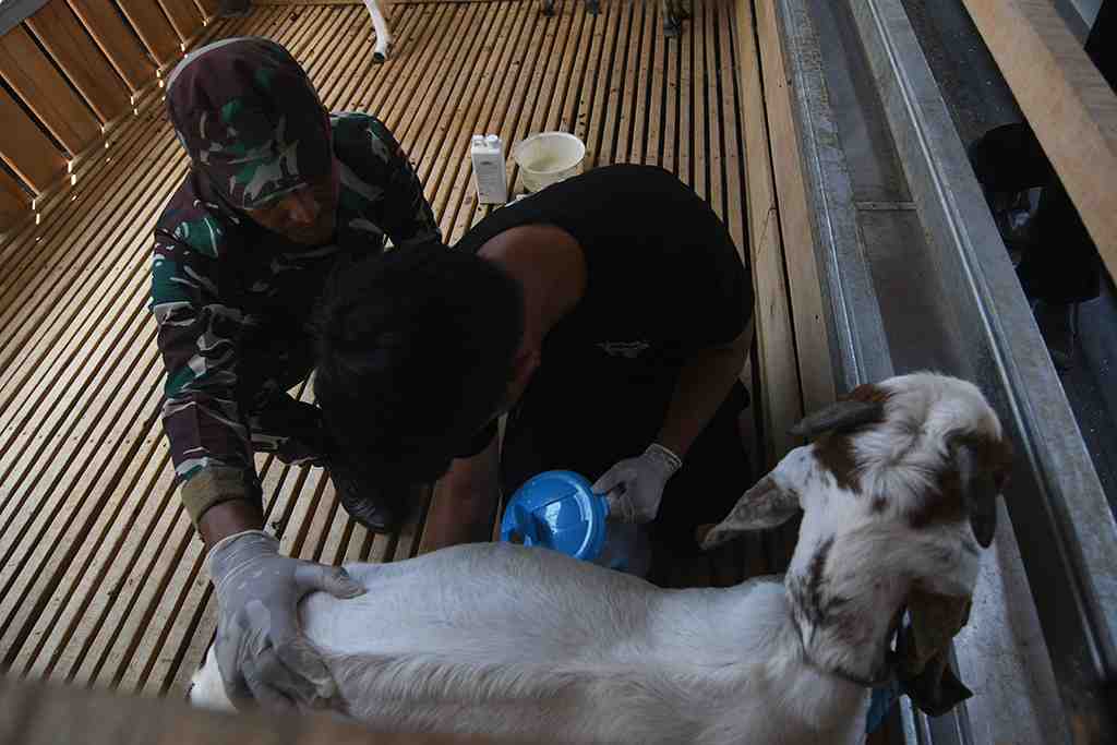 GERNAS KETAHANAN PANGAN TNI