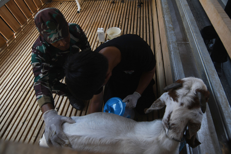 GERNAS KETAHANAN PANGAN TNI