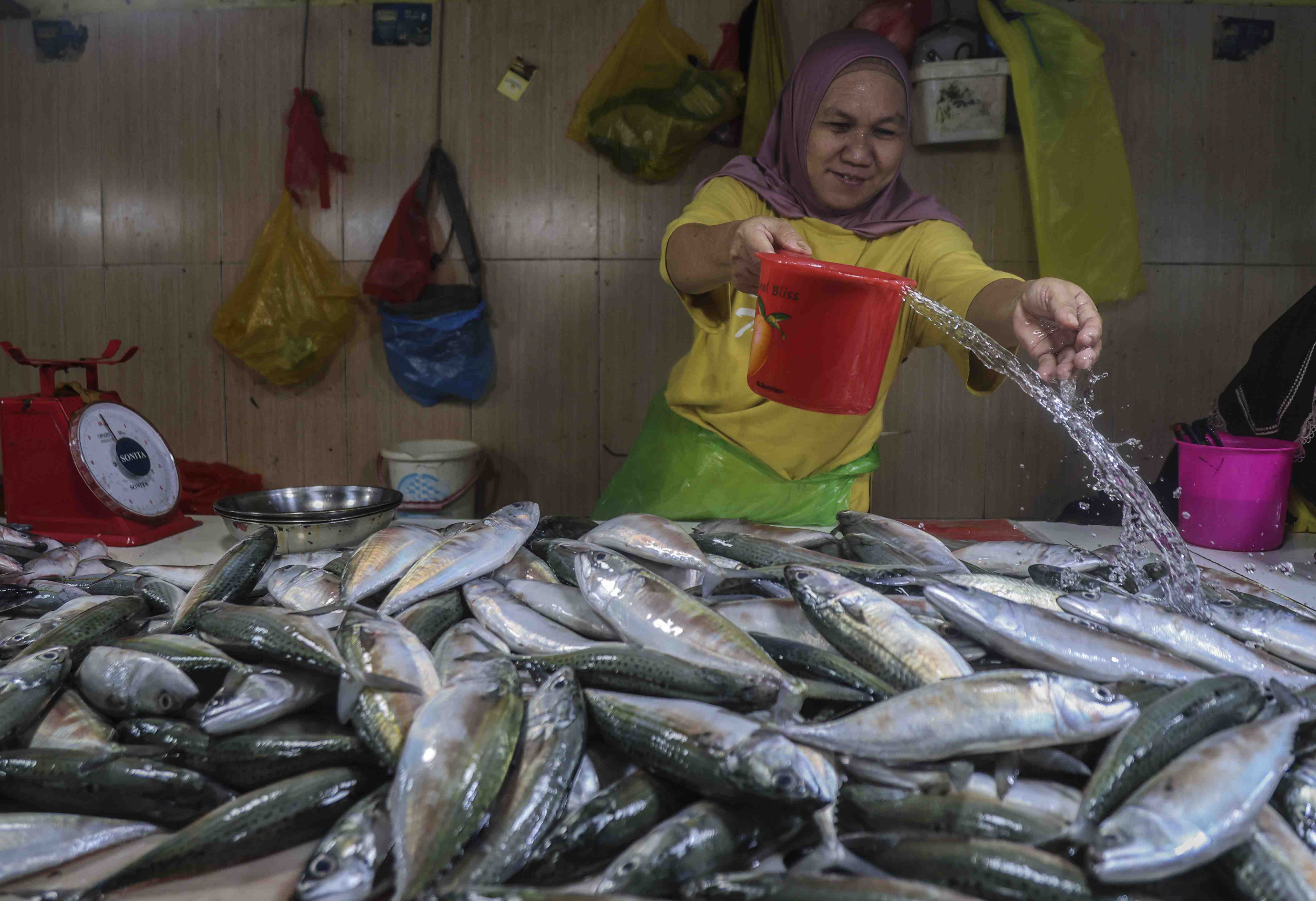 HARGA IKAN STABIL SELAMA RAMADAN 