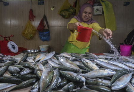 HARGA IKAN STABIL SELAMA RAMADAN 