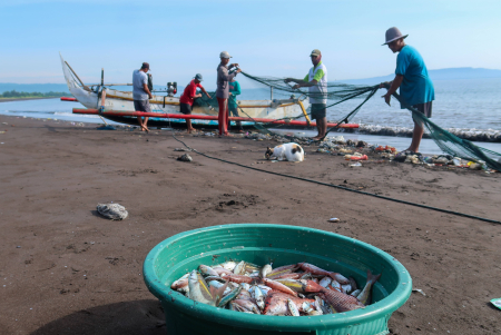 KETERSEDIAN IKAN NASIONAL 