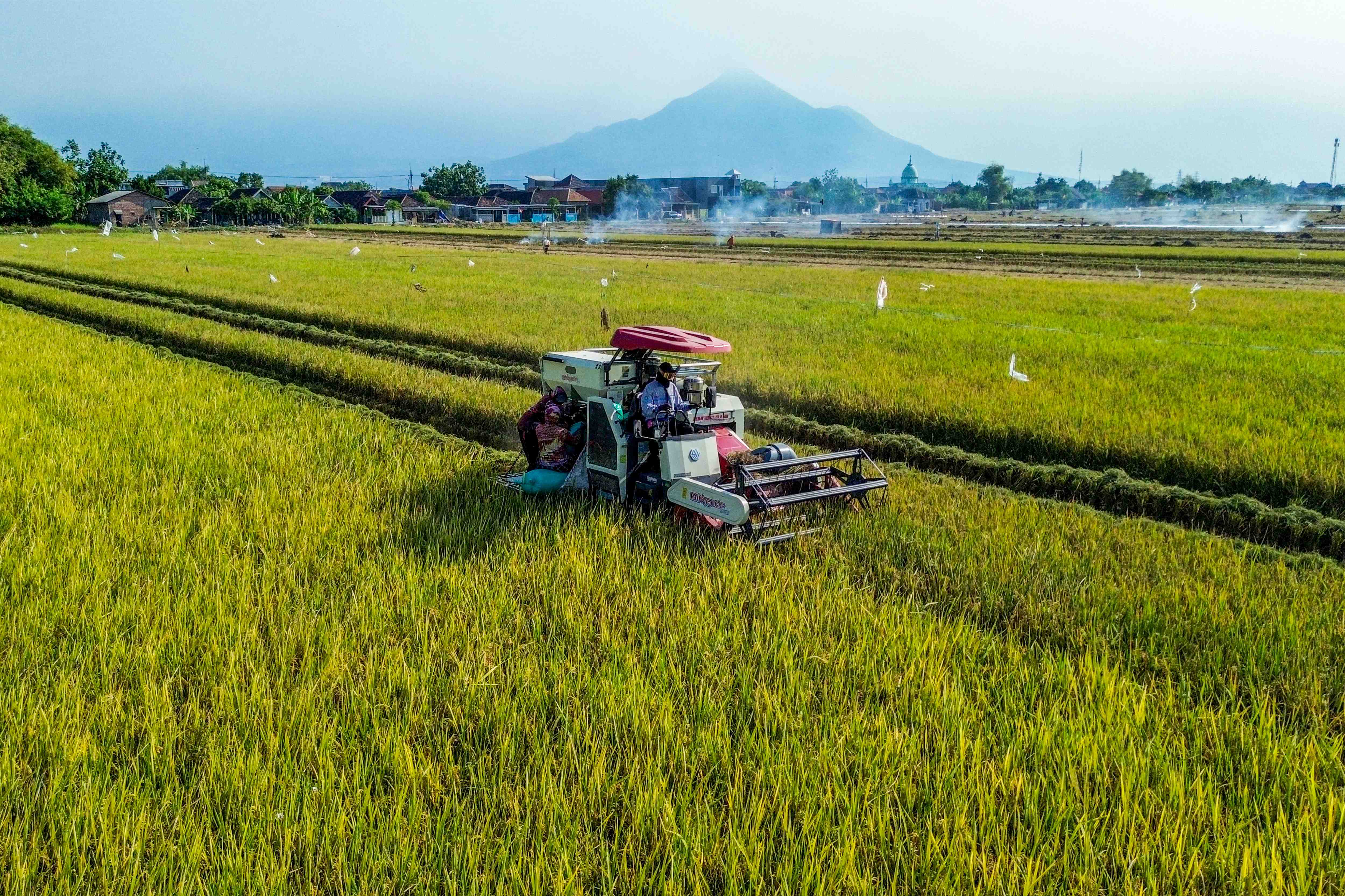 LUAS PANEN PADI JANUARI-SEPTEMBER 2026 MENINGKAT