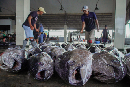 MUSIM TUNA DI SENDANG BIRU