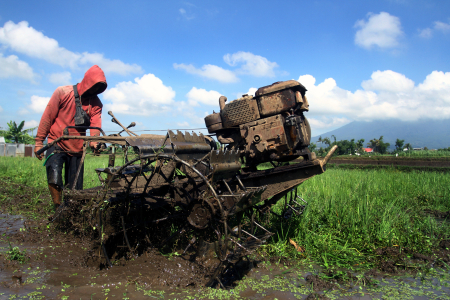 PERCEPATAN TANAM SERENTAK DI JAWA TIMUR