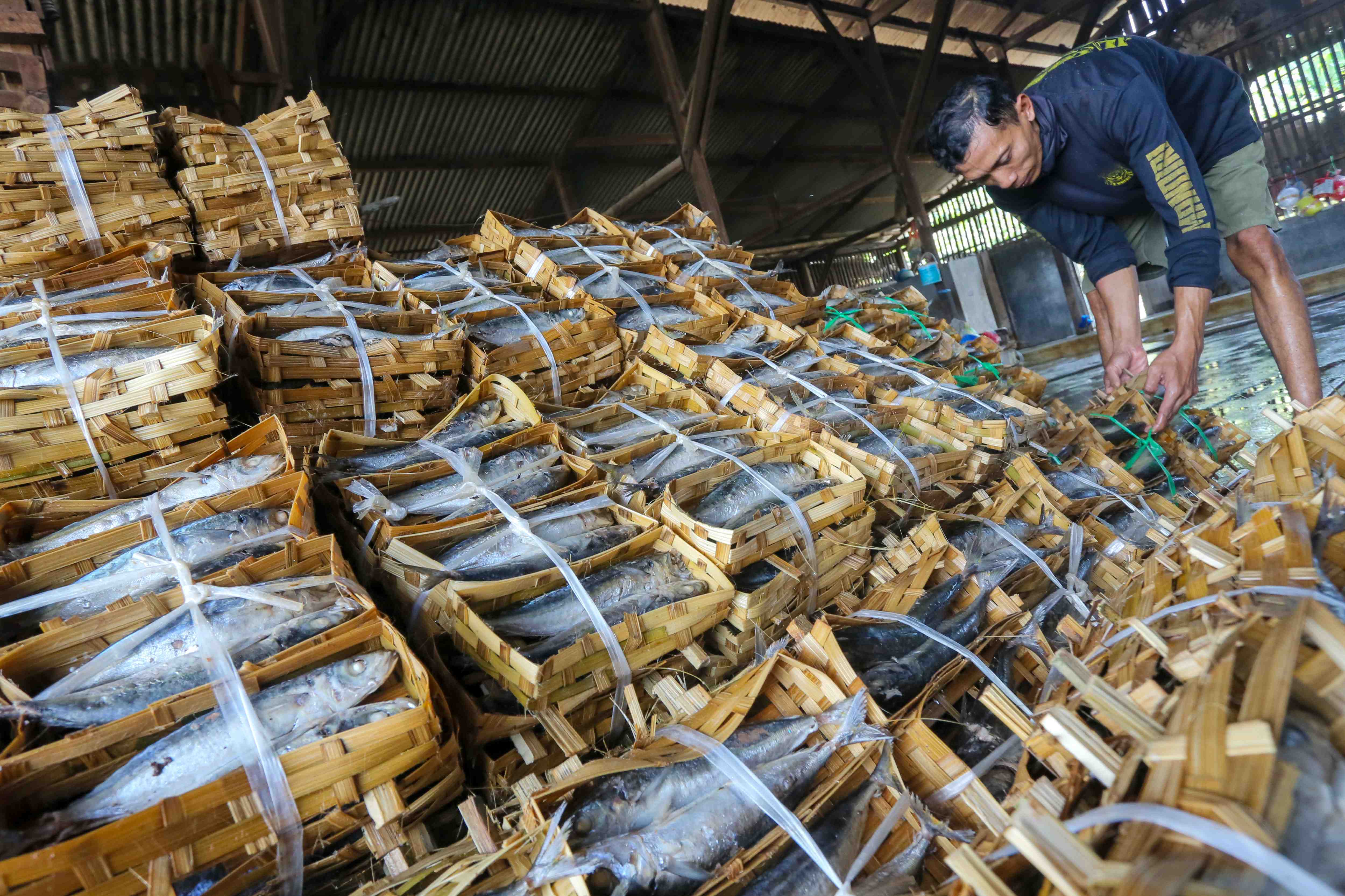 PRODUKSI IKAN PINDANG DI PATI