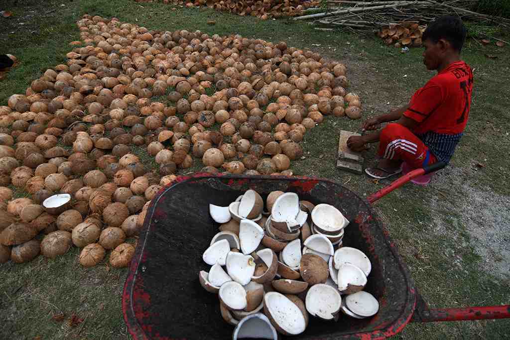 PRODUKSI KOPRA SIGI