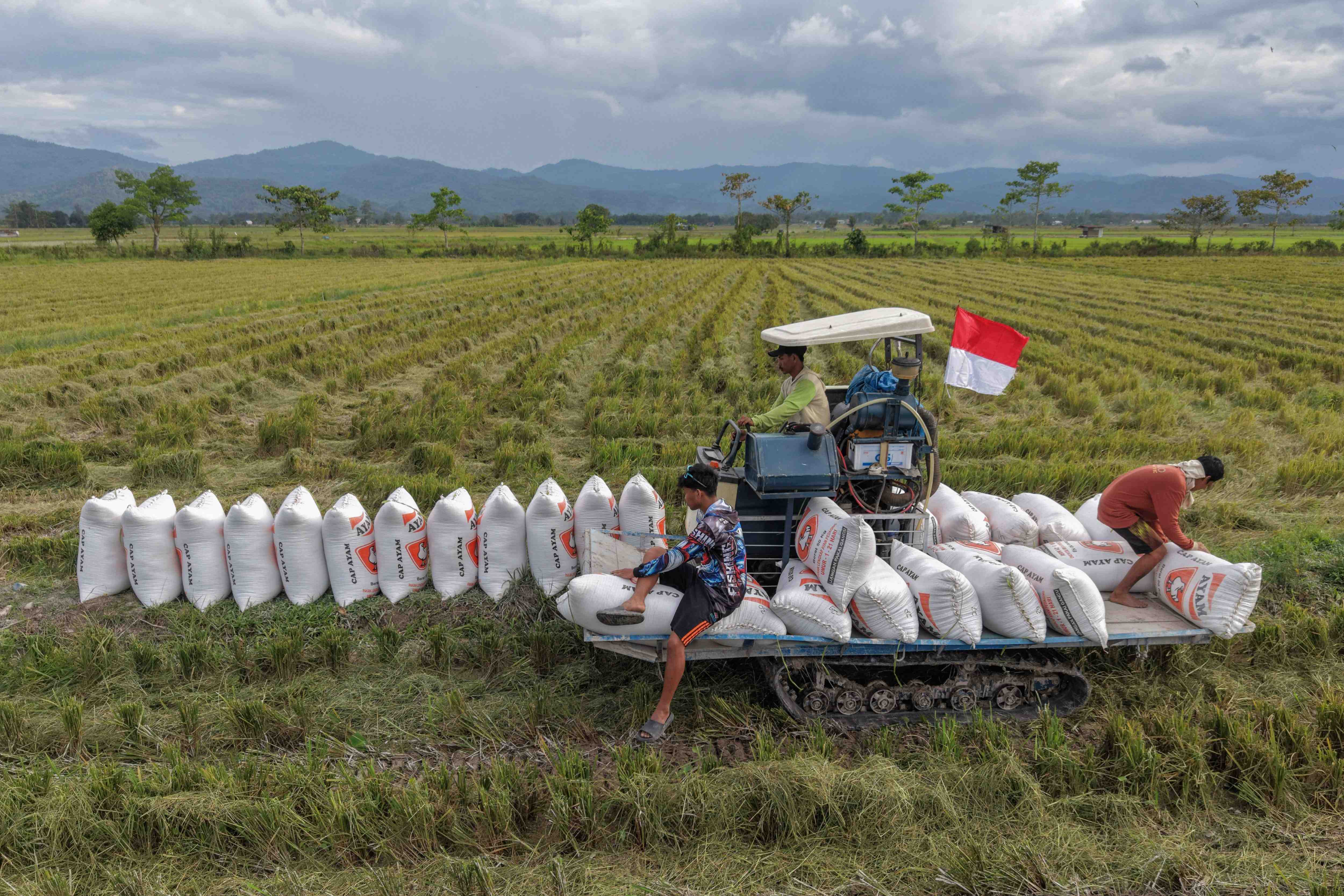 REALISASI SERAPAN GABAH NASIONAL