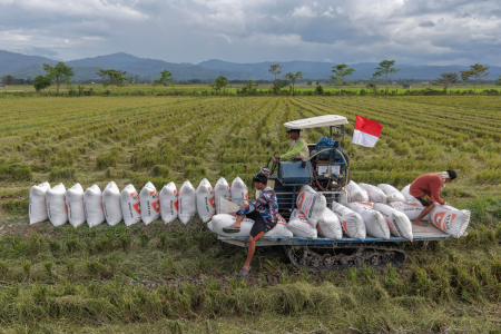 REALISASI SERAPAN GABAH NASIONAL