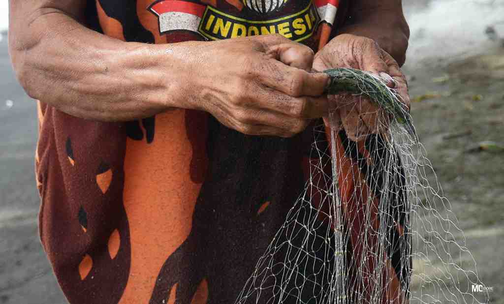 BUKA IKAN TUDE di JARING