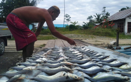 JEMUR IKAN TONGKOL